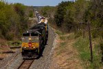 CP 7013